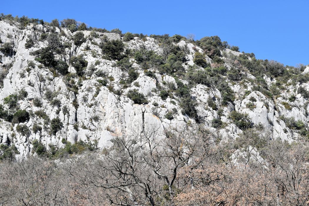 Village médiéval : Vue générale du site