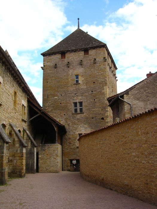 Ancienne Abbaye : Tour du Moulin, élévation ouest, vue générale