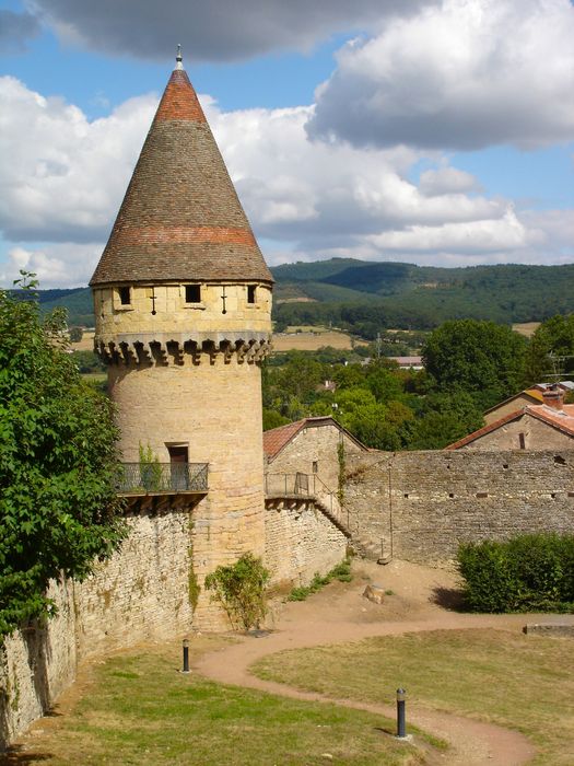 Ancienne Abbaye : Tour Fabry, vue générale