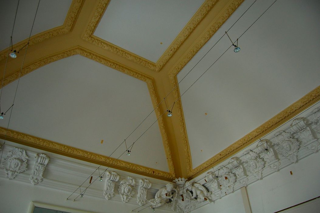 Hôtel de Cambacérès ou de Bragelongue : Salon, vue partielle du plafond