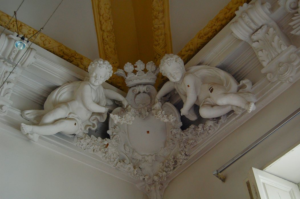 Hôtel de Cambacérès ou de Bragelongue : Salon, plafond, détail