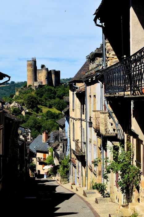 Château : Vue générale du château depuis la rue du Barriou