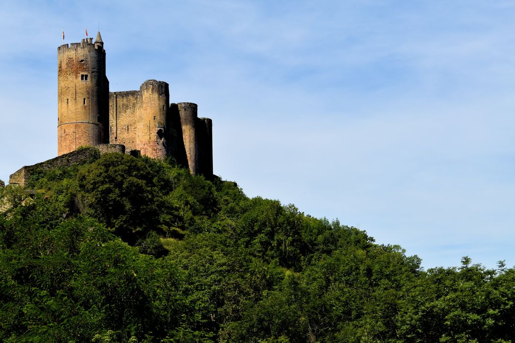 Château : Vue générale du château dans son environnement