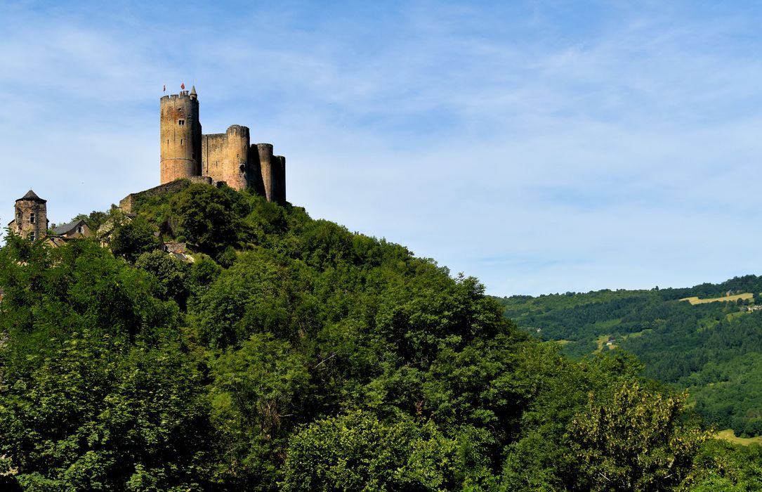 Château : Vue générale du château dans son environnement