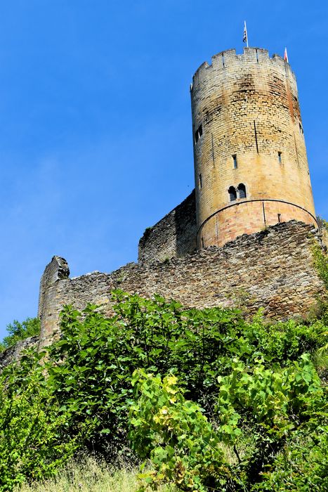 Château : Vue générale donjon