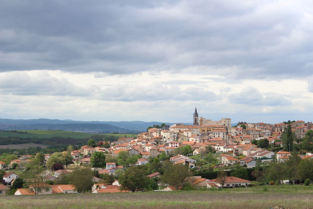 Ancien château fort Vue générale du château dans son environnement depuis le sud