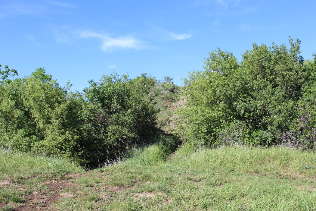 Oppidum du Puy du Mur : Motte castrale, vue partielle