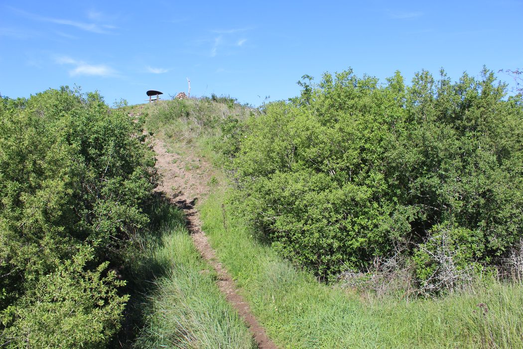 Oppidum du Puy du Mur : Motte castrale, vue partielle