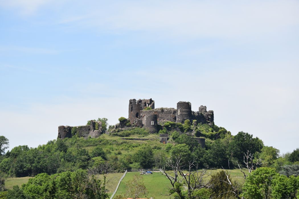 Château fort de Mauzun : Vue générale du château dans son environnement depuis le sud