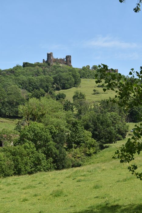 Château fort de Mauzun : Vue générale du château dans son environnement