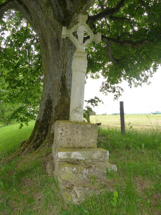 Croix de chemin, vue générale