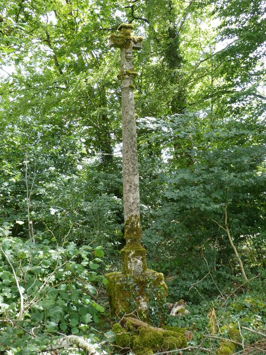 Croix du Champ-Cassier, vue générale