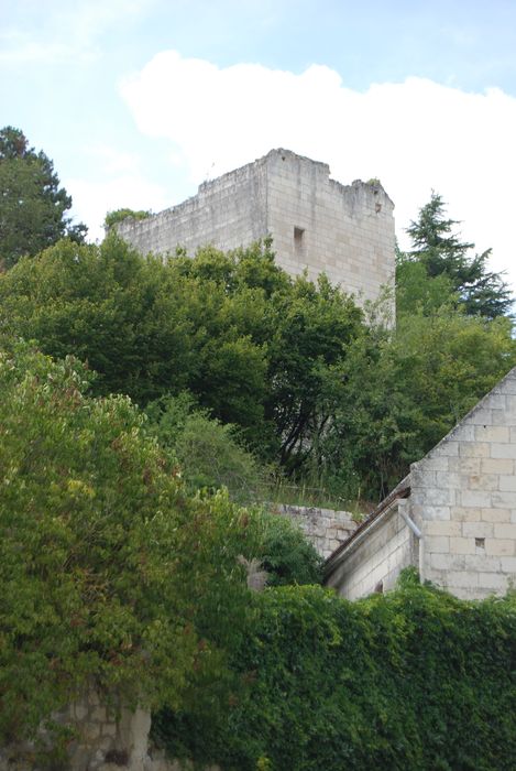 Tour de Mauvières : Elévations sud et est, vue partielle