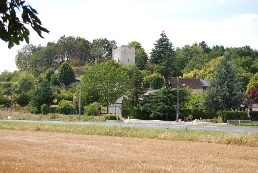 Tour de Mauvières : Vue générale de la tour ans son environnement depuis le Sud-Est