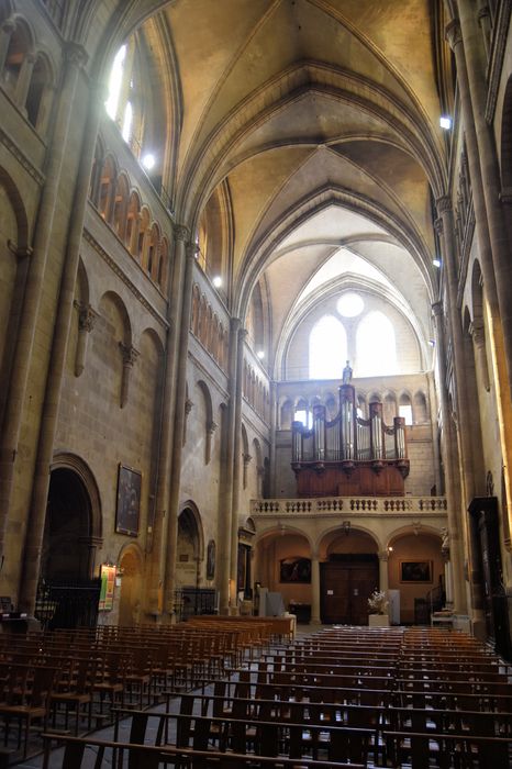 Eglise Saint-Barnard, ancienne collégiale : Nef, vue générale