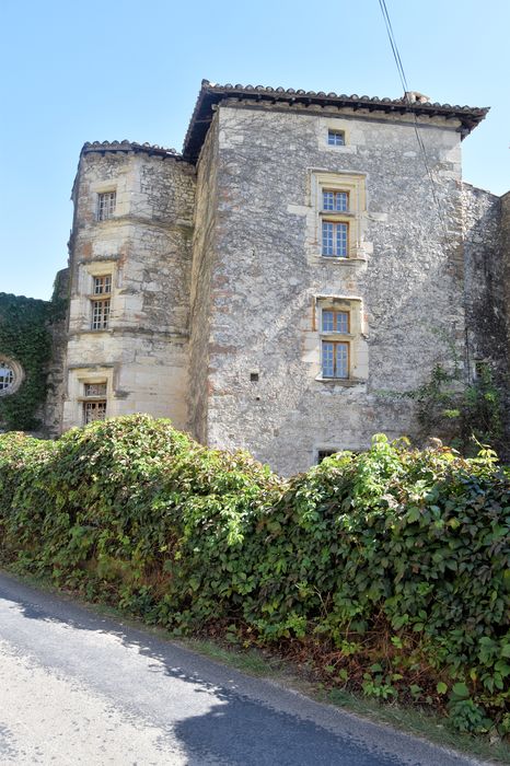 Donjon de Lastic : Ensemble nord-ouest, vue générale