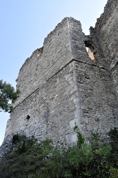 Château de Soyans : Vue partielle des ruines