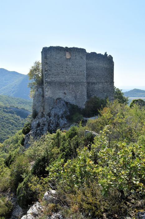 Château de Soyans : Vue générale des ruines du château dans leur environnement depuis le Nord-Est