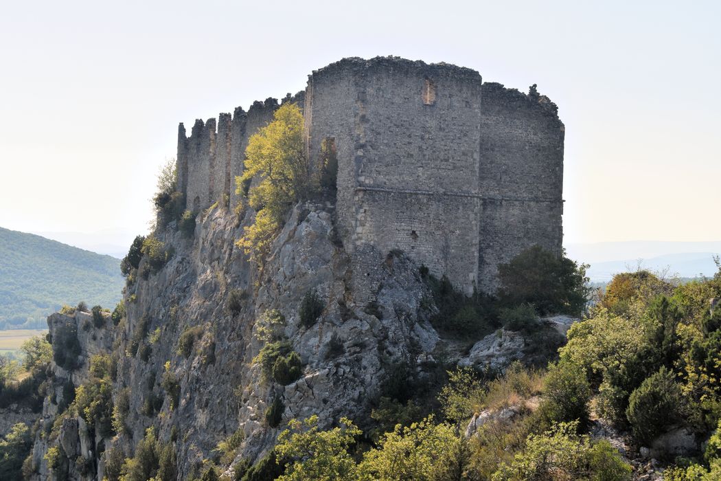 Château de Soyans : Vue générale des ruines du château dans leur environnement depuis le Nord-Est