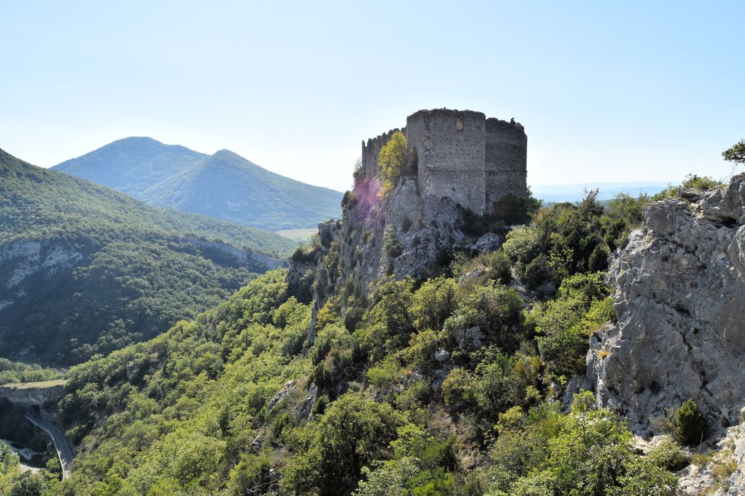 Château de Soyans : Vue générale des ruines du château dans leur environnement depuis le Nord-Est