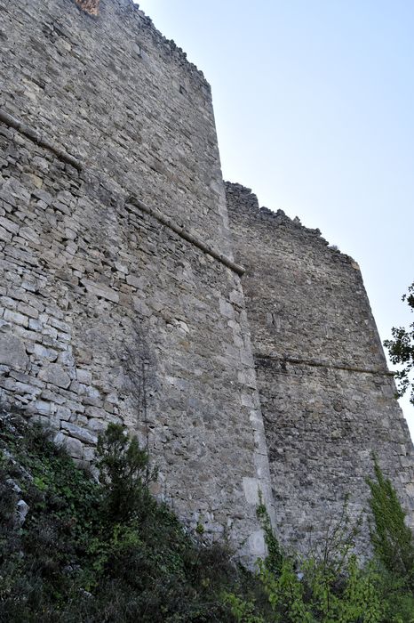 Château de Soyans : Vue partielle des ruines