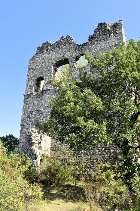 Château de Soyans : Vue partielle des ruines