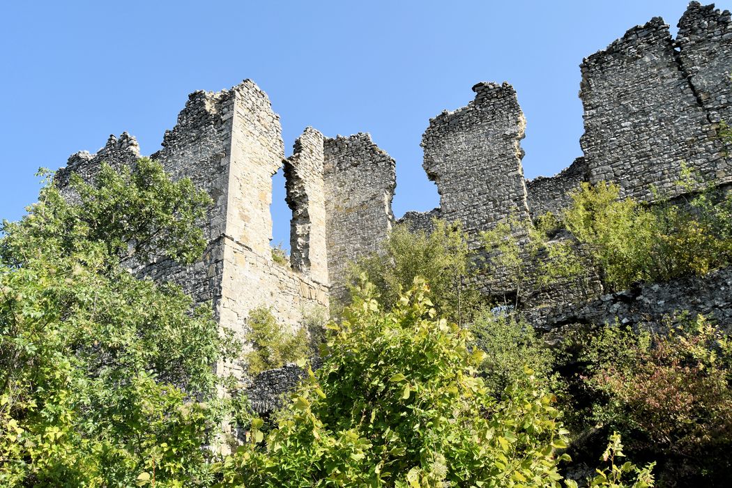 Château de Soyans : Vue partielle des ruines