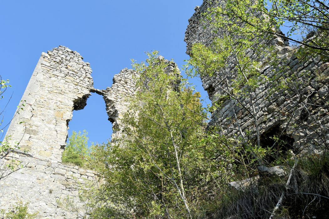 Château de Soyans : Vue partielle des ruines