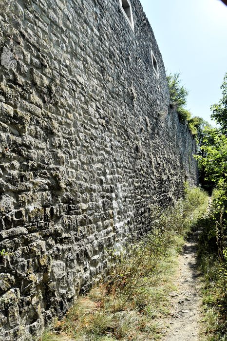 Château de Soyans : Vue partielle des ruines