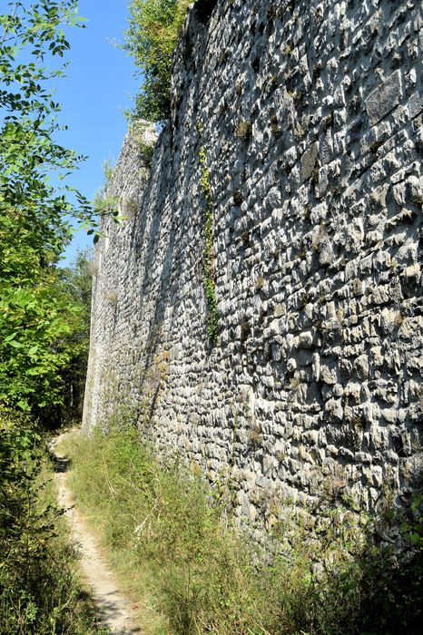 Château de Soyans : Vue partielle des ruines