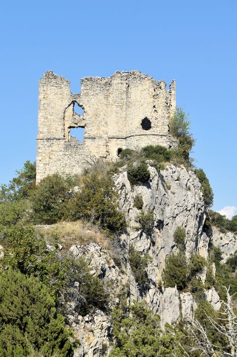 Château de Soyans : Vue générale des ruines du château dans leur environnement depuis le Sud-Ouest