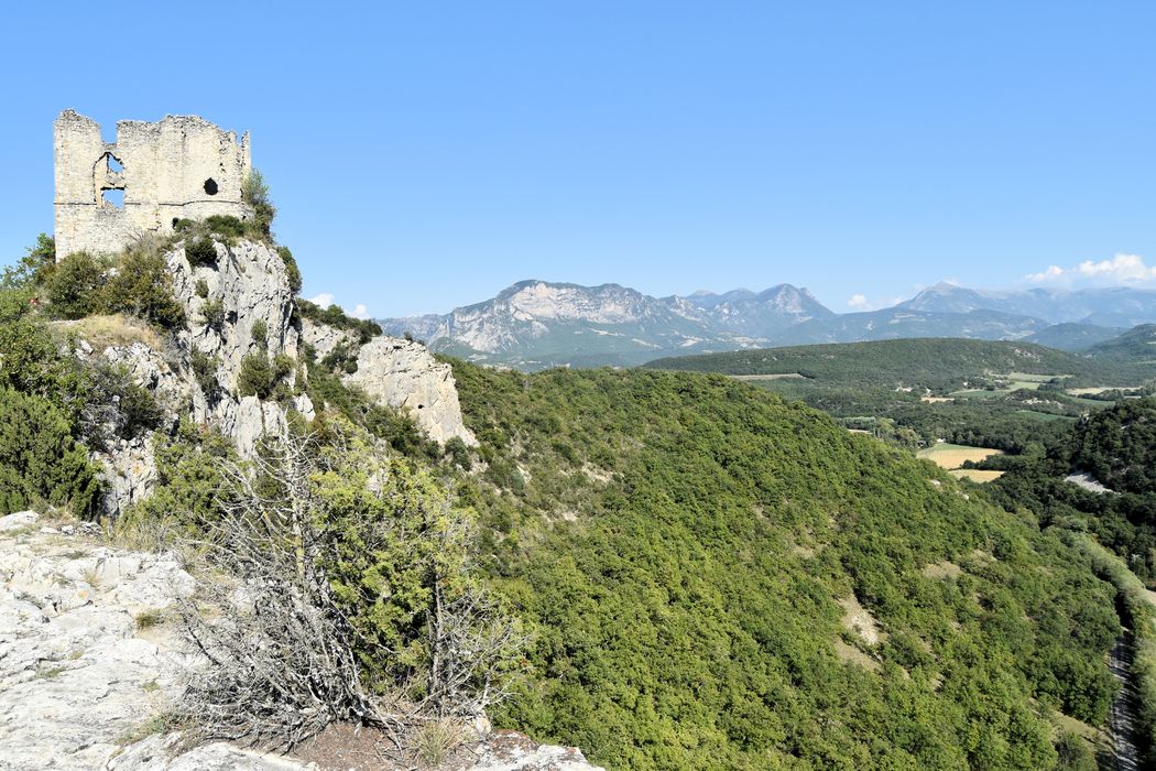 Château de Soyans : Vue générale des ruines du château dans leur environnement depuis le Sud-Ouest