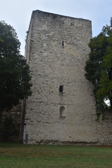 Tour de Narbonne : Elévation est, vue générale