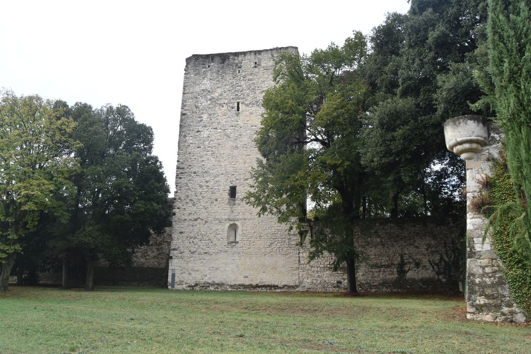 Tour de Narbonne : Elévation est, vue générale