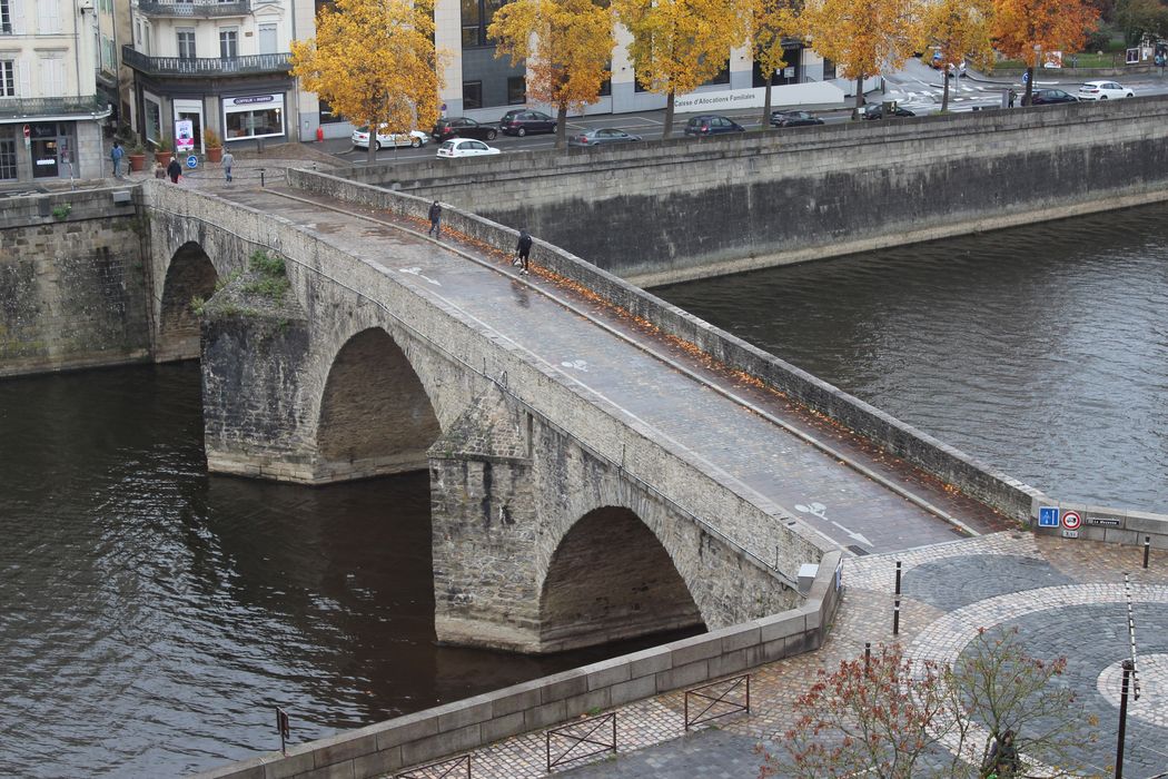 Vieux pont sur la Mayenne, vue générale