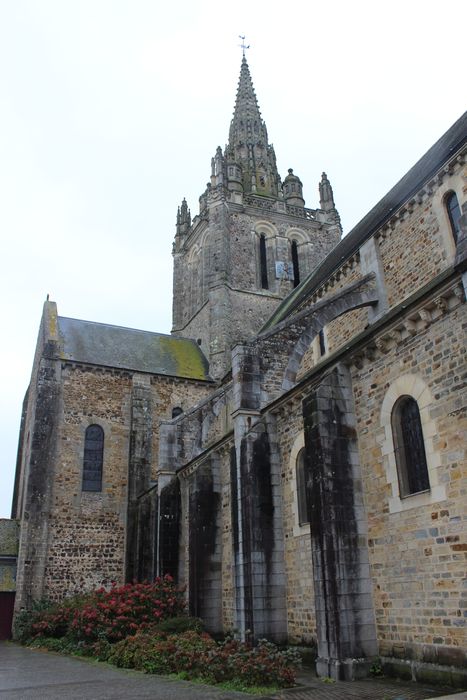 Eglise Notre-Dame d'Avesnière : Façade latérale nord, vue partielle