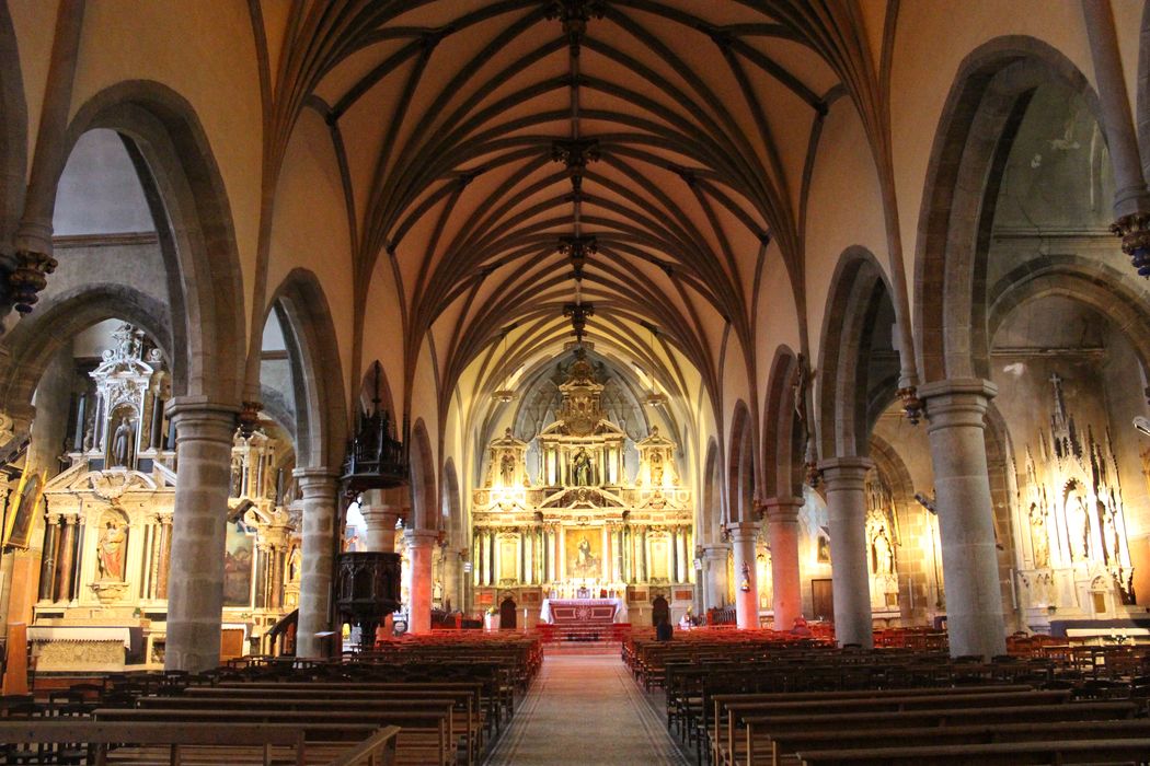 Eglise Notre-Dame des Cordeliers : Nef, vue générale