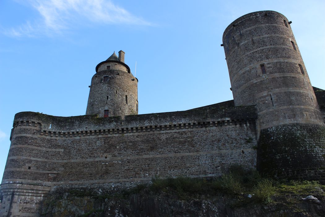 Château : Ensemble ouest, vue partielle