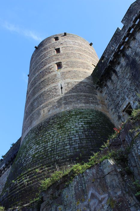 Château : Tour Surienne, vue générale