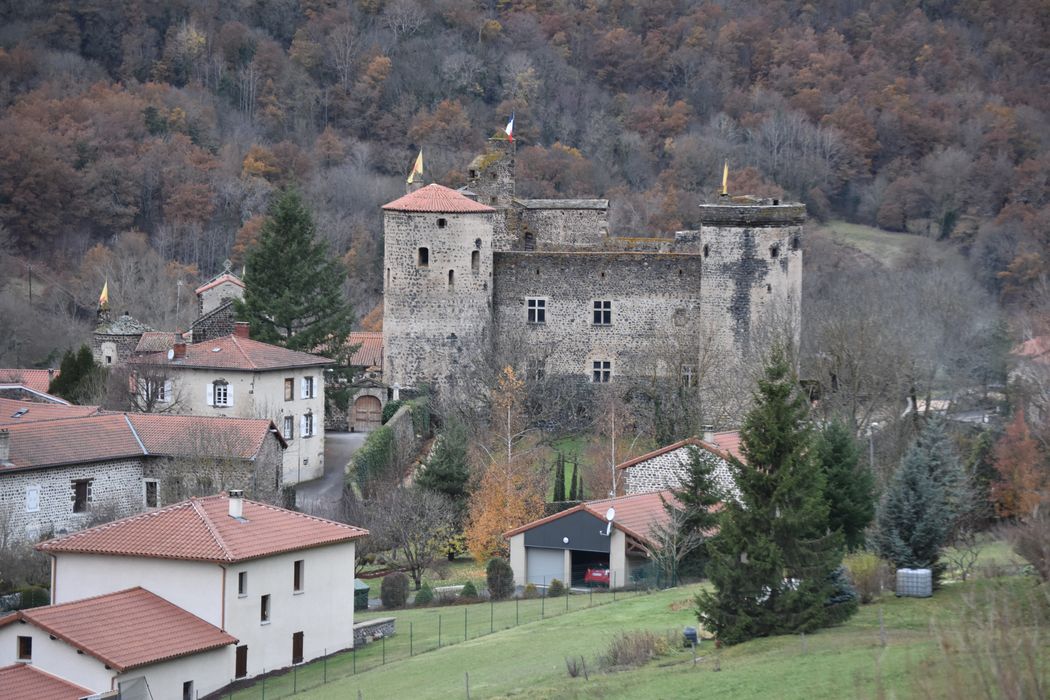 Château : Vue générale du château dans son environnement depuis l'Est