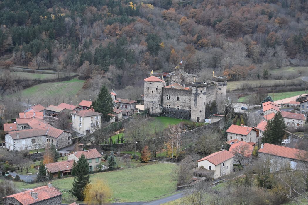 Château et son enceinte : Vue générale du château dans son environnement depuis le Nord-Est