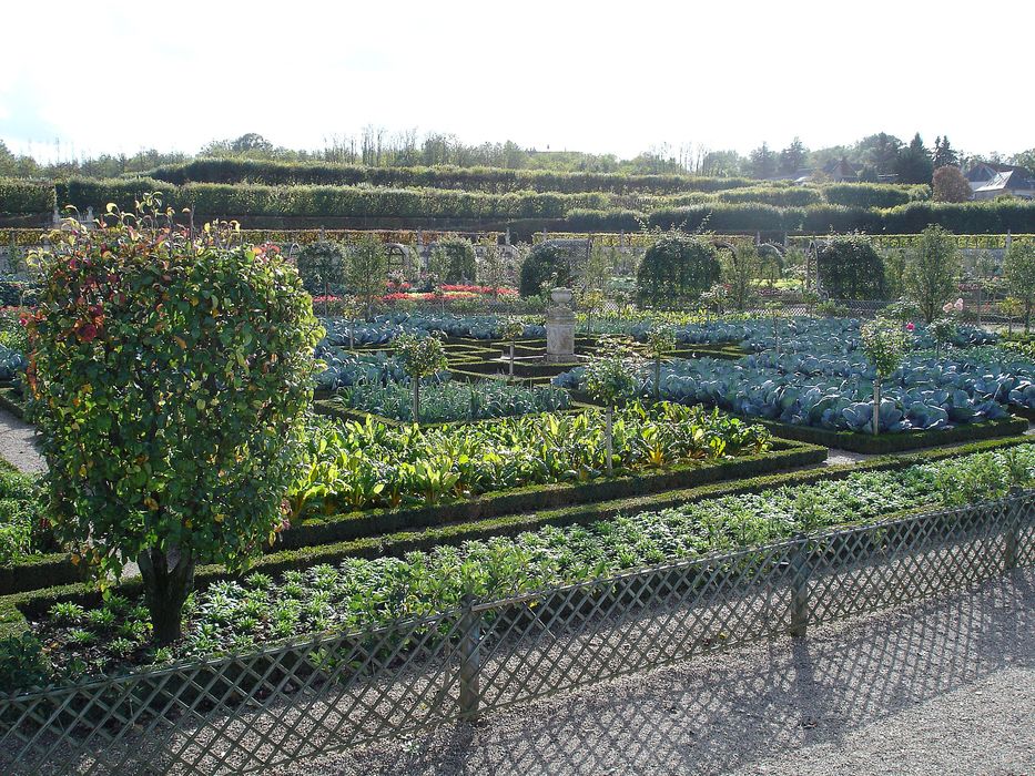 Château de Villandry : Jardin, vue partielle