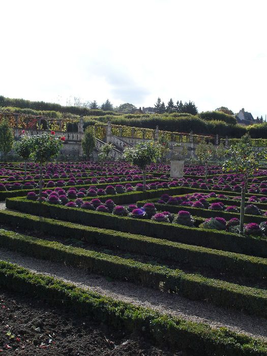 Château de Villandry : Jardin, vue partielle