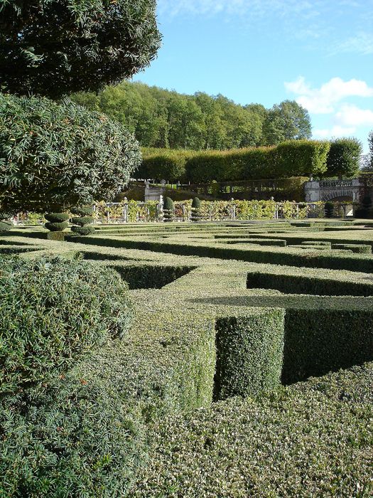 Château de Villandry : Jardin, vue partielle