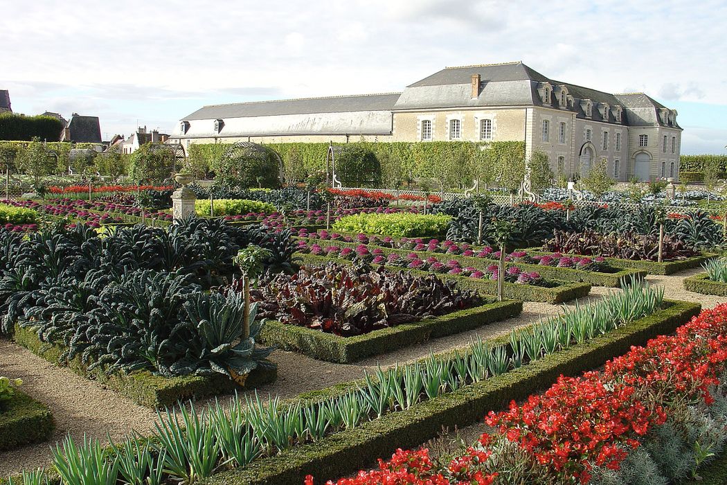 Château de Villandry : Jardin, vue partielle