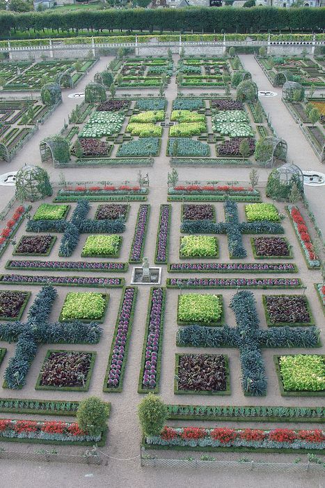 Château de Villandry : Jardin, vue partielle