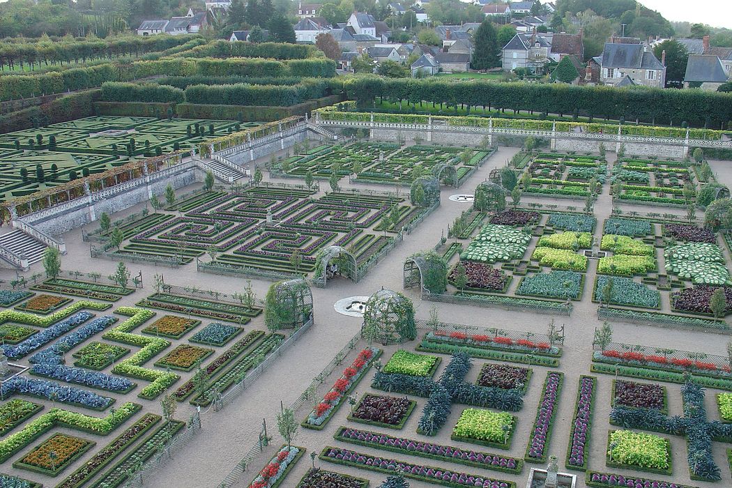 Château de Villandry : Jardin, vue générale