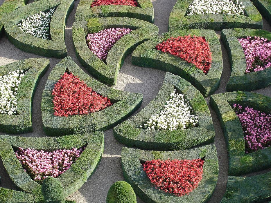 Château de Villandry : Jardin, détail d'un parterre