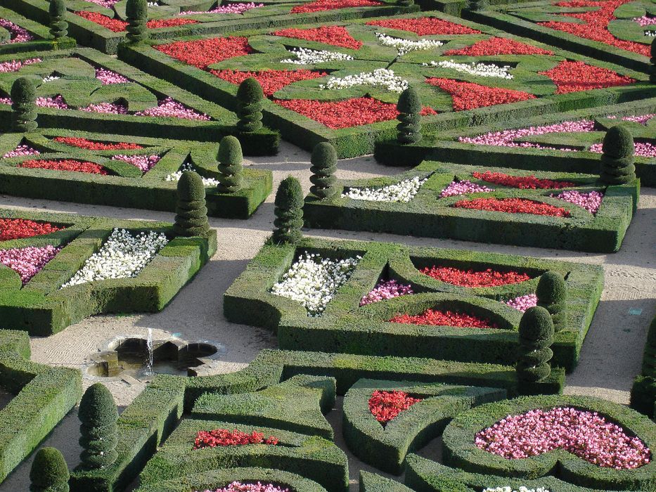 Château de Villandry : Jardin, détail d'un parterre