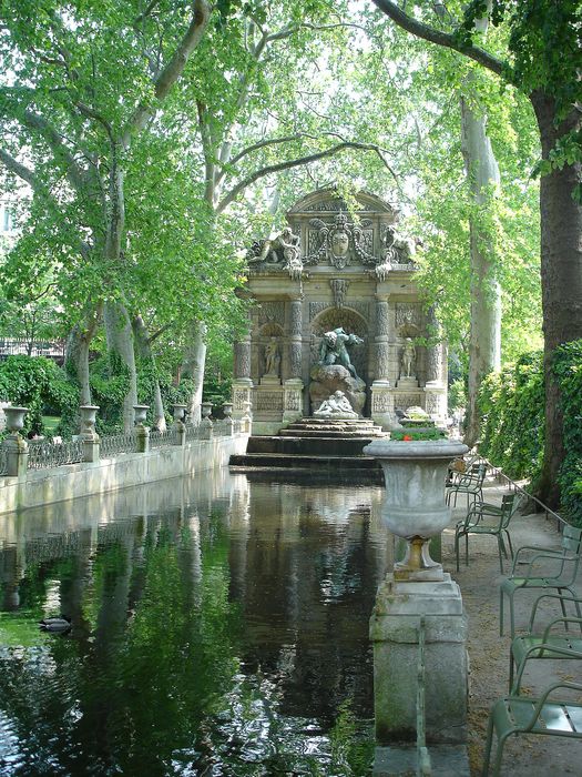 Fontaine Médicis, vue générale